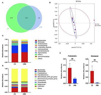 Effects of Dietary Glycerol Monobutyrate Supplementation on Egg Performance, Biochemical Indices, and Gut Microbiota of Aged Hens